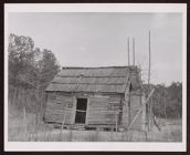 Old March Taylor Cabin